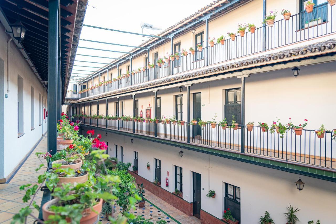 Del Sur Apartament *